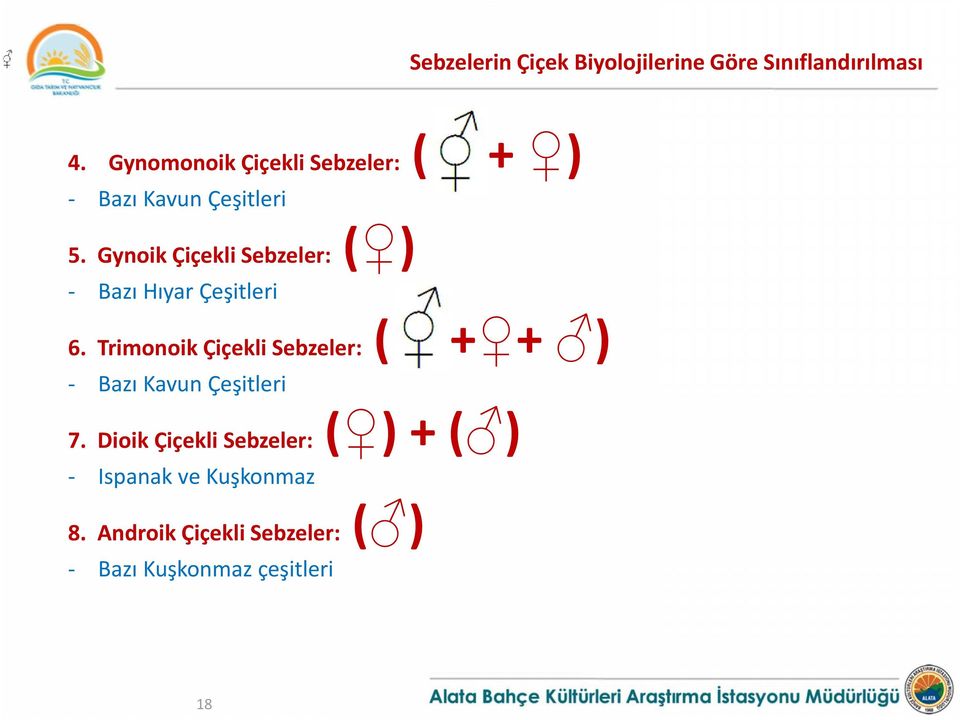 Gynoik Çiçekli Sebzeler: - Bazı Hıyar Çeşitleri ( + + ) ( ) + ( ) 8.