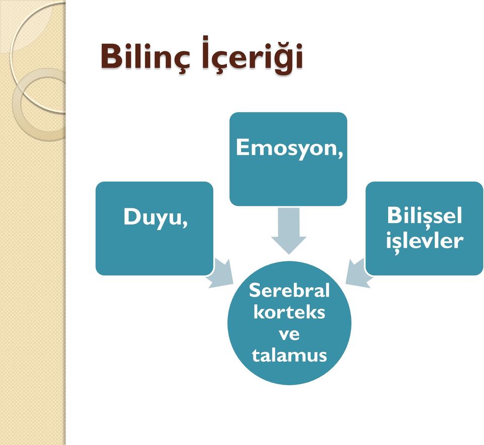 Bilişsel işlevler