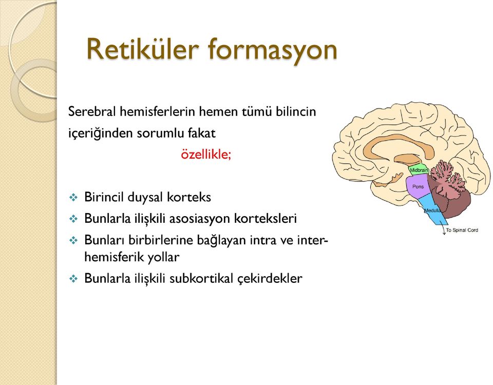 Bunlarla ilişkili asosiasyon korteksleri Bunları birbirlerine