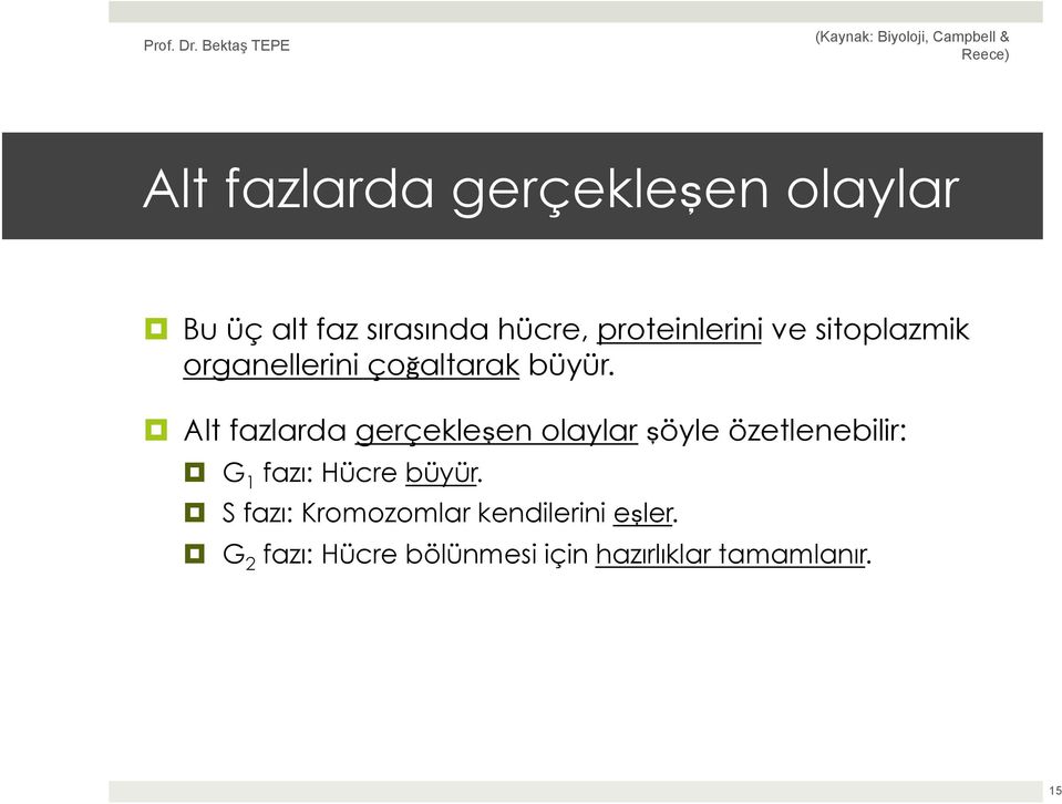 Alt fazlarda gerçekleşen olaylar şöyle özetlenebilir: G 1 fazı: Hücre