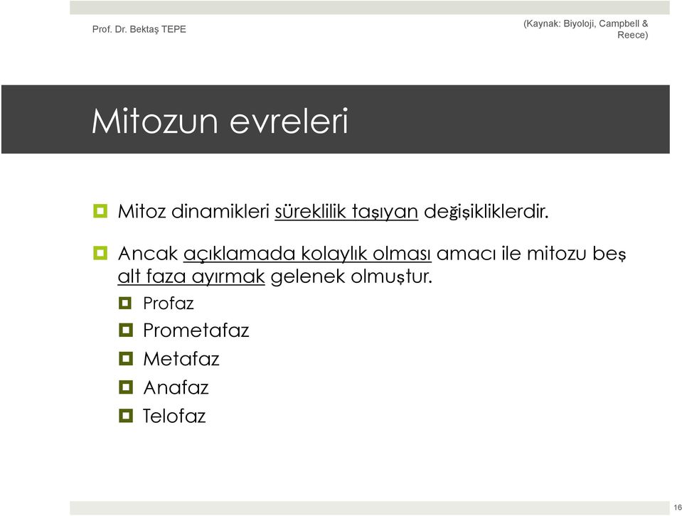 Ancak açıklamada kolaylık olması amacı ile mitozu