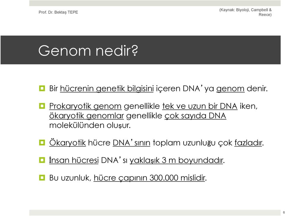 çok sayıda DNA molekülünden oluşur.