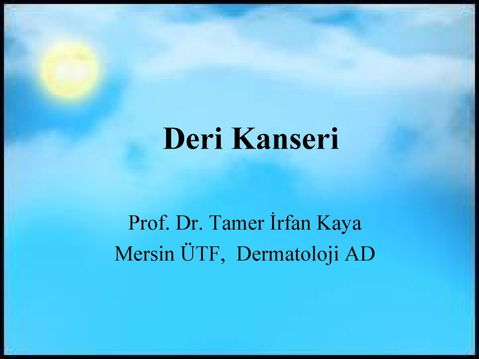 Tamer İrfan Kaya