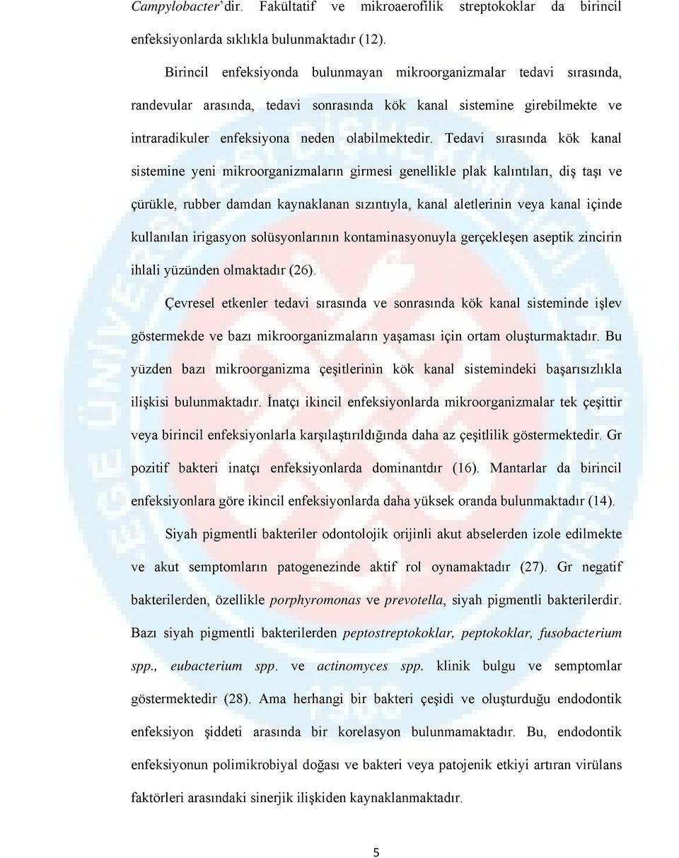 Tedavi sırasında kök kanal sistemine yeni mikroorganizmaların girmesi genellikle plak kalıntıları, diş taşı ve çürükle, rubber damdan kaynaklanan sızıntıyla, kanal aletlerinin veya kanal içinde