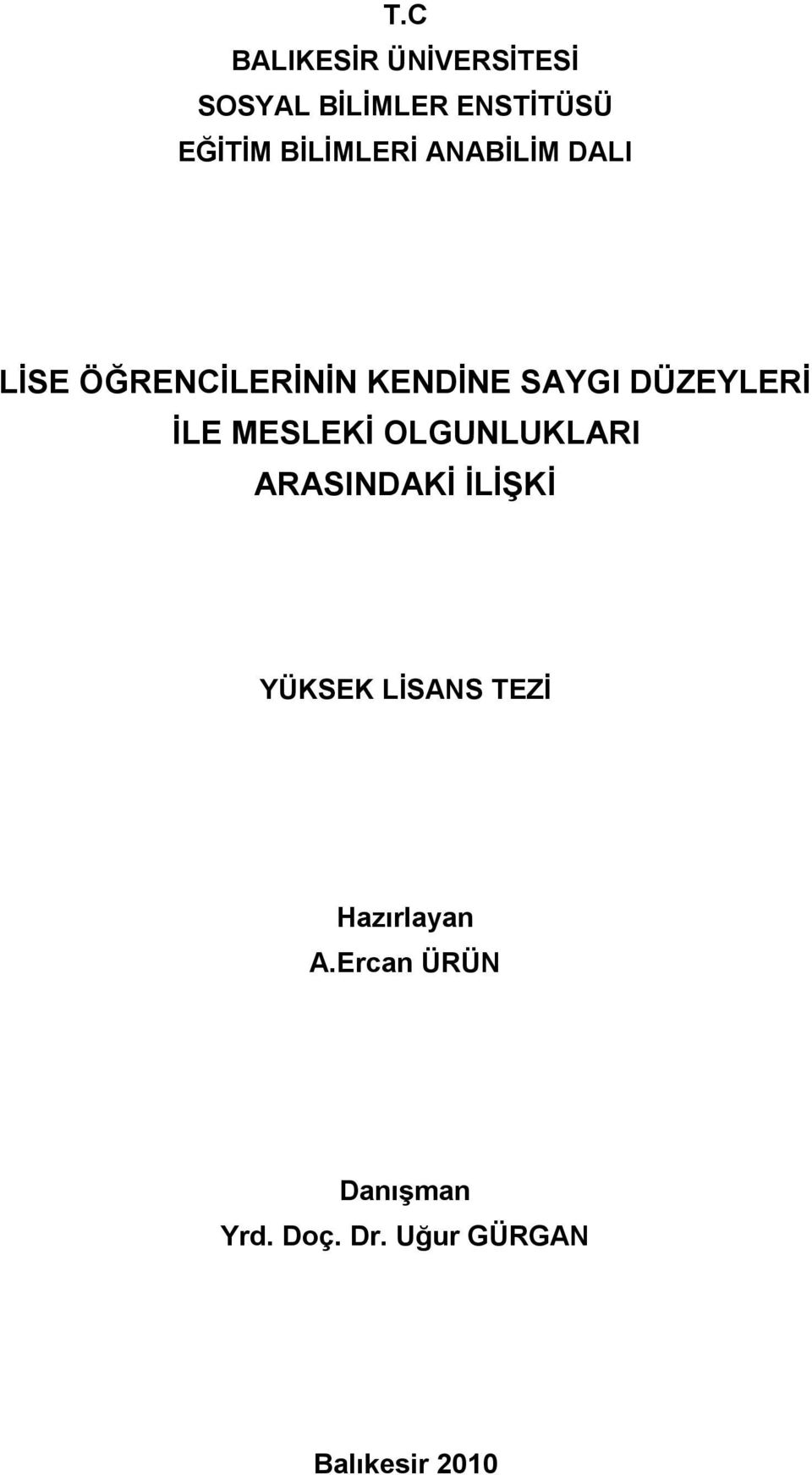 DÜZEYLERİ İLE MESLEKİ OLGUNLUKLARI ARASINDAKİ İLİŞKİ YÜKSEK