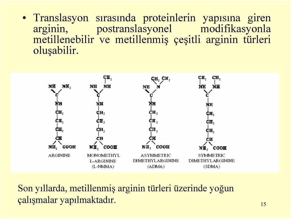 metillenmiş çeşitli arginin türleri oluşabilir.