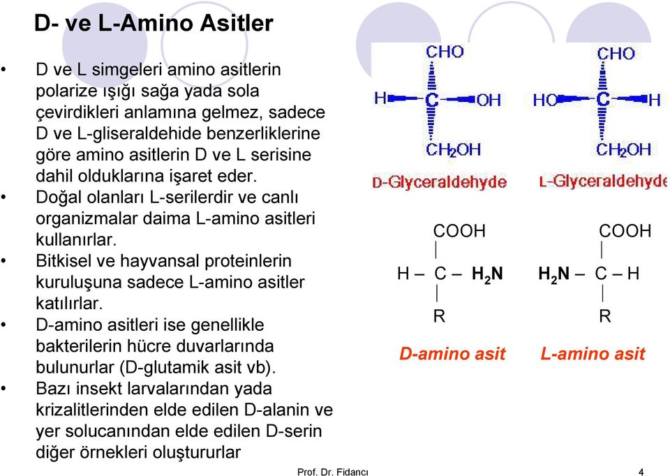 Bitkisel ve hayvansal proteinlerin kuruluşuna sadece L-amino asitler katılırlar. D-amino asitleri ise genellikle bakterilerin hücre duvarlarında bulunurlar (D-glutamik asit vb).