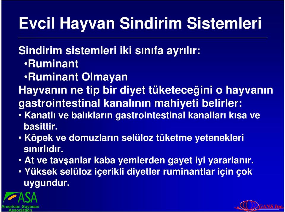 gastrointestinal kanalları kısa ve basittir. Köpek ve domuzların selüloz tüketme yetenekleri sınırlıdır.