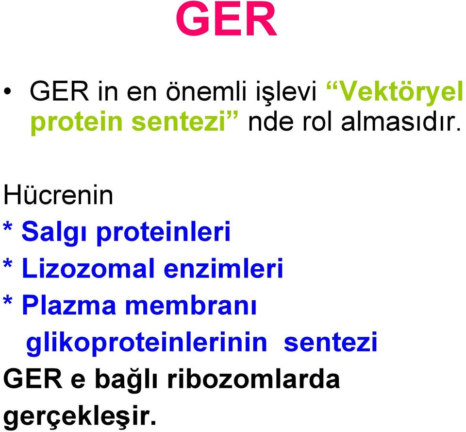 Hücrenin * Salgı proteinleri * Lizozomal enzimleri