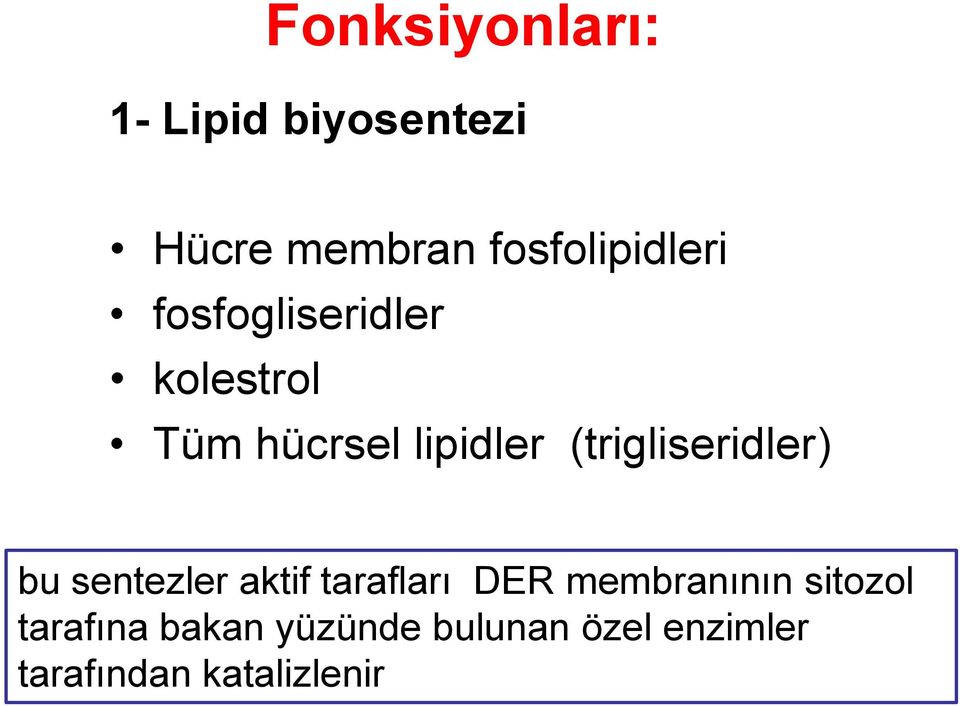 (trigliseridler) bu sentezler aktif tarafları DER membranının