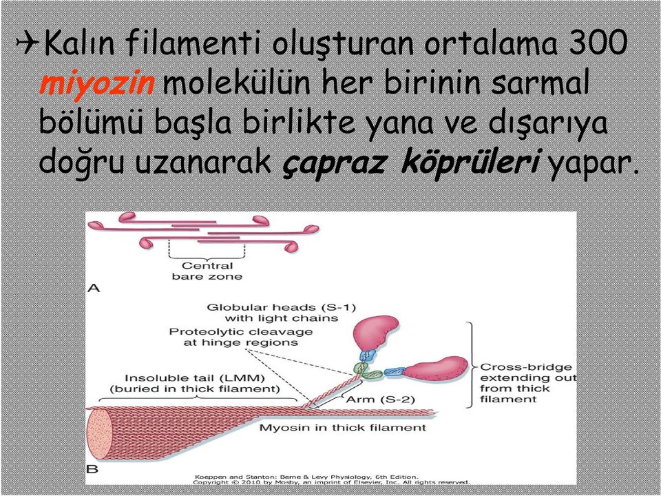 bölümü başla birlikte yana ve dışarıya