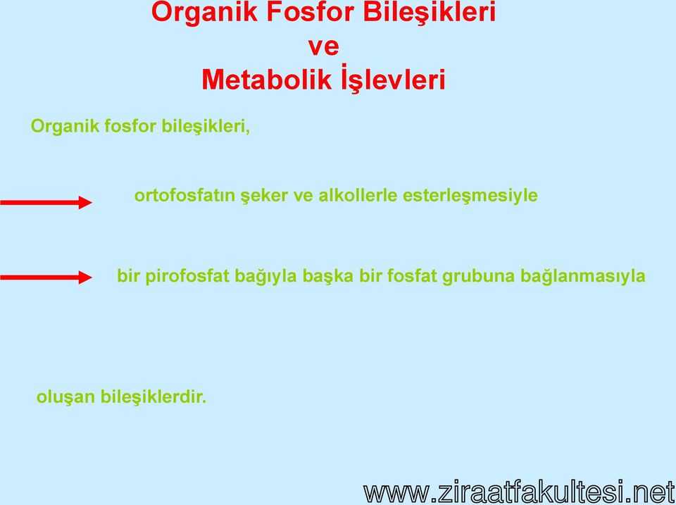 ve Metabolik ĠĢlevleri ortofosfatın Ģeker ve alkollerle