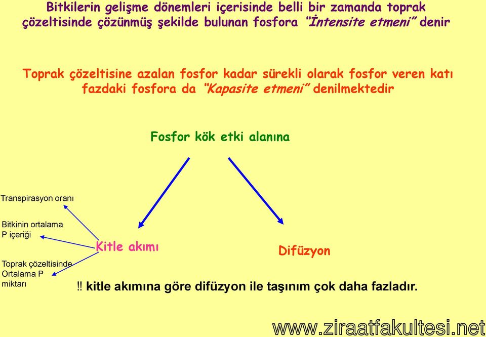 İntensite etmeni denir Toprak çözeltisine azalan fosfor kadar sürekli olarak fosfor veren katı fazdaki fosfora da