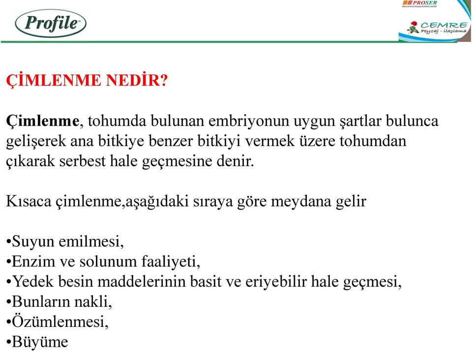 bitkiyi vermek üzere tohumdan çıkarak serbest hale geçmesine denir.