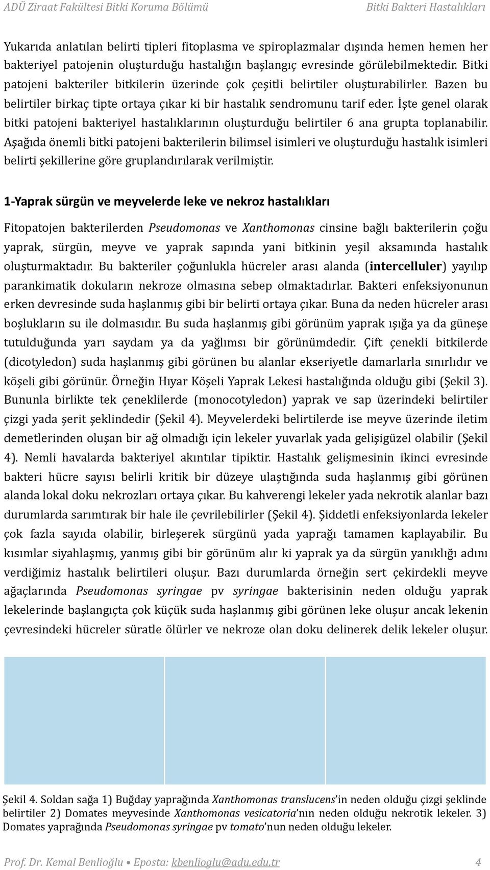 Bazen bu belirtiler birkaç tipte ortaya çıkar ki bir hastalık sendromunu tarif eder. İşte genel olarak bitki patojeni bakteriyel hastalıklarının oluşturduğu belirtiler 6 ana grupta toplanabilir.