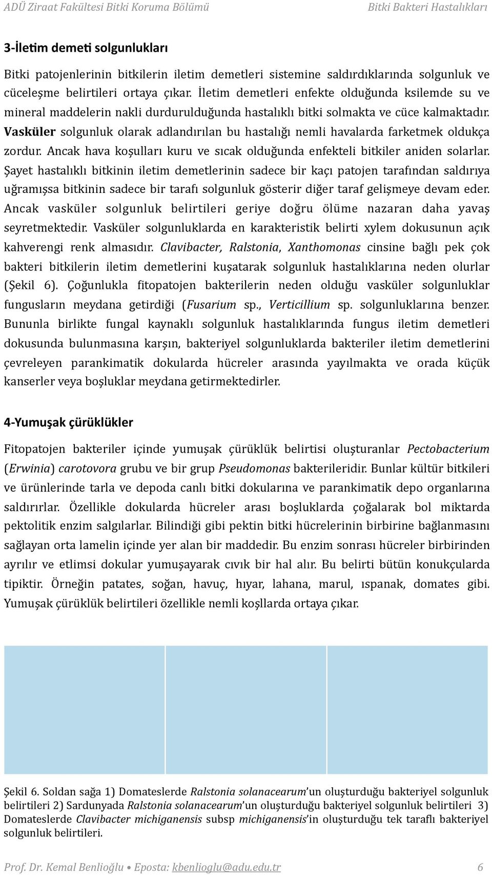 Vasküler solgunluk olarak adlandırılan bu hastalığı nemli havalarda farketmek oldukça zordur. Ancak hava koşulları kuru ve sıcak olduğunda enfekteli bitkiler aniden solarlar.