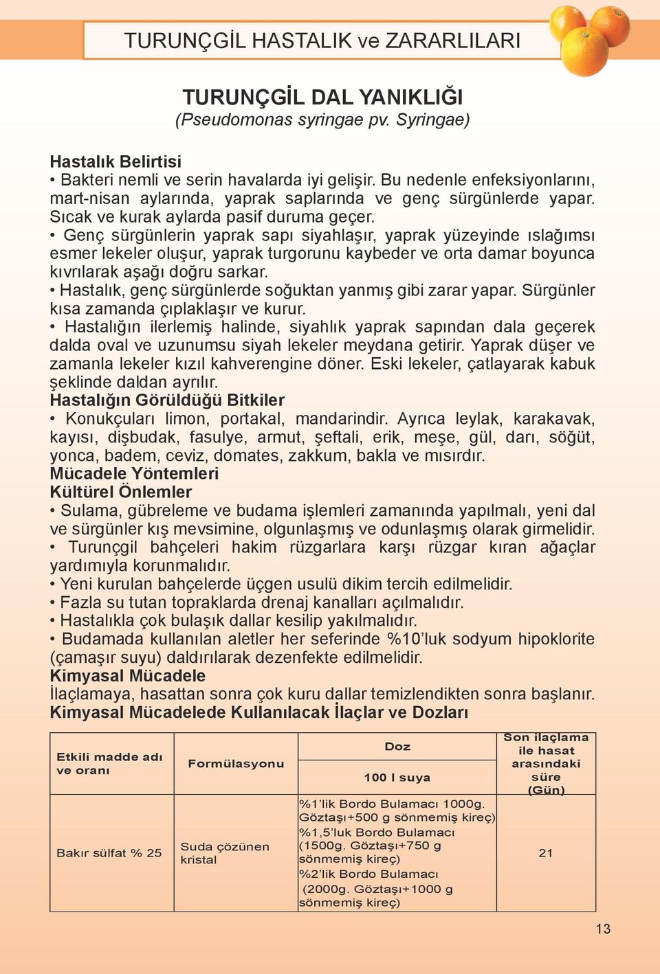 Genç sürgünlerin yaprak sapı siyahlaşır, yaprak yüzeyinde ıslağımsı esmer lekeler oluşur, yaprak turgorunu kaybeder ve orta damar boyunca kıvrılarak aşağı doğru sarkar.