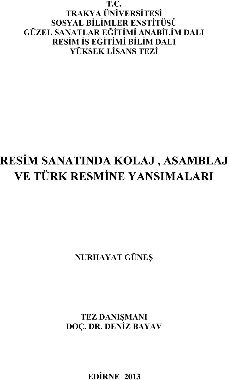 YÜKSEK LİSANS TEZİ RESİM SANATINDA KOLAJ, ASAMBLAJ VE TÜRK