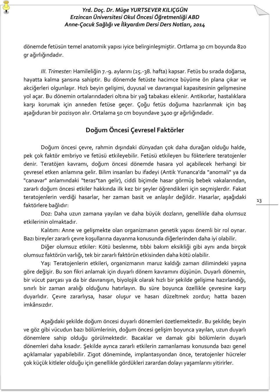 Hızlı beyin gelişimi, duyusal ve davranışsal kapasitesinin gelişmesine yol açar. Bu dönemin ortalarındaderi oltına bir yağ tabakası eklenir.