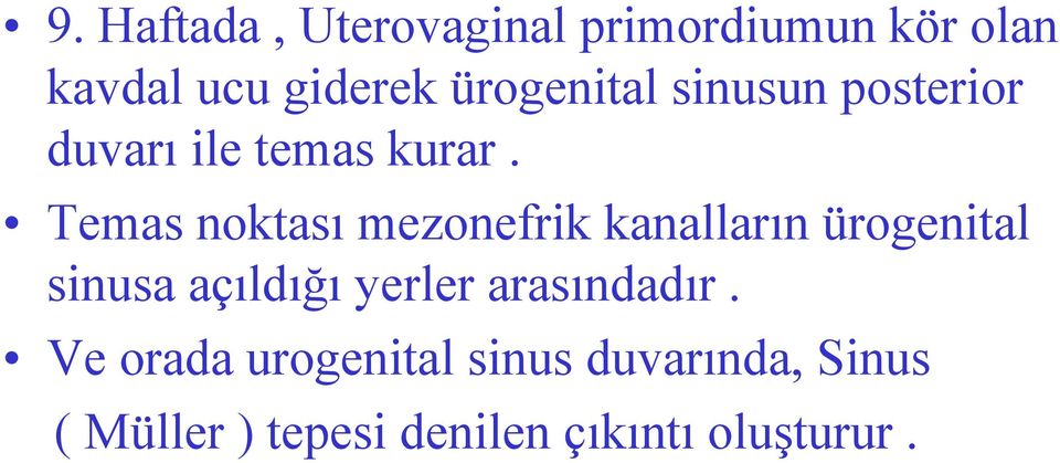 Temas noktası mezonefrik kanalların ürogenital sinusa açıldığı yerler