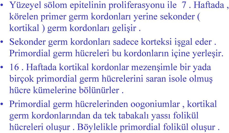 Sekonder germ kordonları sadece korteksi işgal eder. Primordial germ hücreleri bu kordonların içine yerleşir. 16.