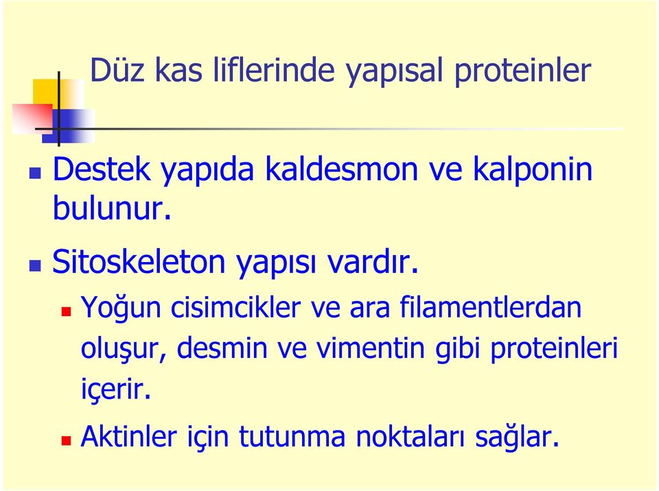 Yoğun cisimcikler ve ara filamentlerdan oluşur, desmin ve