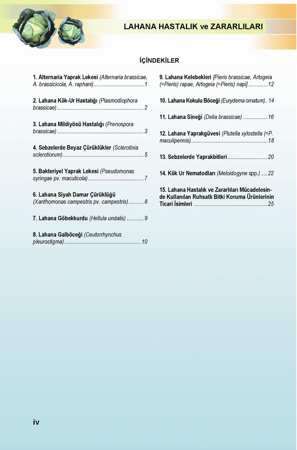 Lahana Siyah Damar Çürüklüğü (Xanthomonas campestris pv. campestris)... 8 9. Lahana Kelebekleri [Pieris brassicae, Artogeia (=Pieris) rapae, Artogeia (=Pieris) napi]...12 10.
