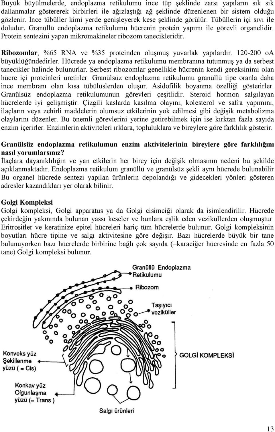 Protein sentezini yapan mikromakineler ribozom tanecikleridir. Ribozomlar, %65 RNA ve %35 proteinden oluşmuş yuvarlak yapılardır. 120-200 oa büyüklüğündedirler.