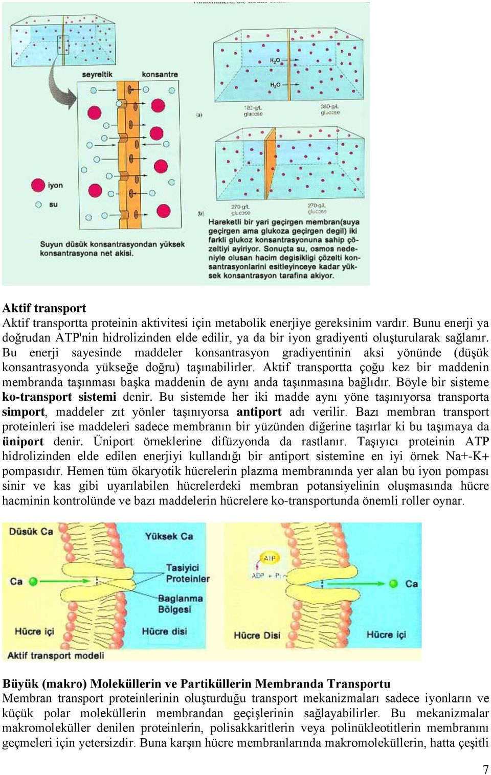 Bu enerji sayesinde maddeler konsantrasyon gradiyentinin aksi yönünde (düşük konsantrasyonda yükseğe doğru) taşınabilirler.