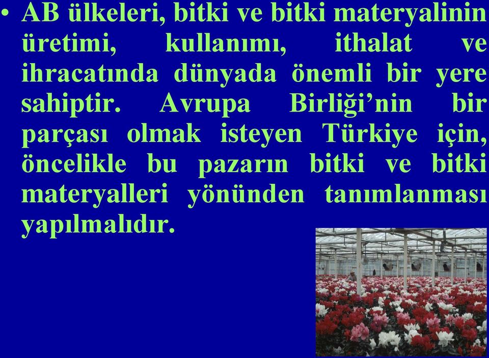 Avrupa Birliği nin bir parçası olmak isteyen Türkiye için,