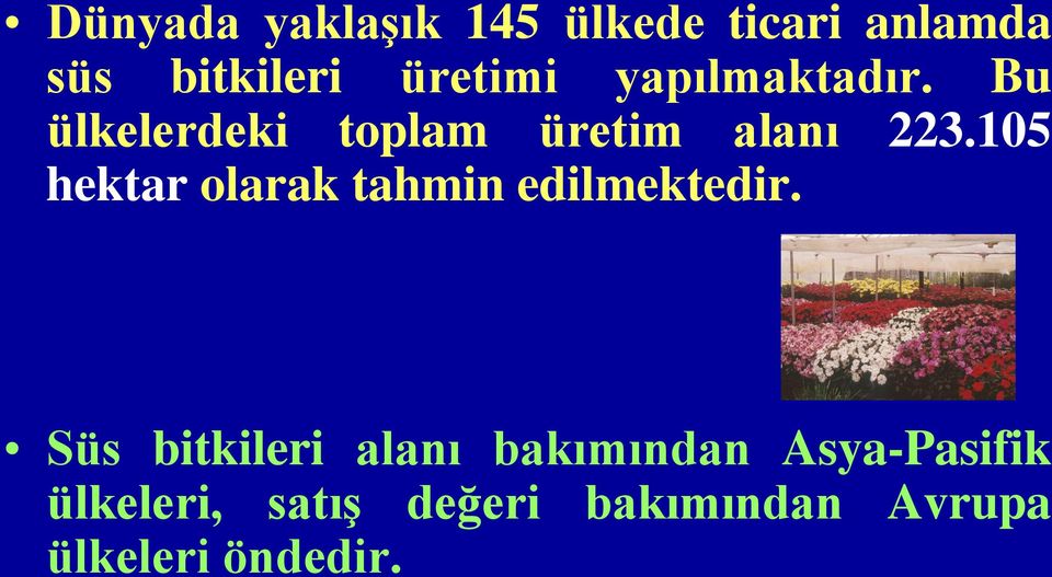 105 hektar olarak tahmin edilmektedir.