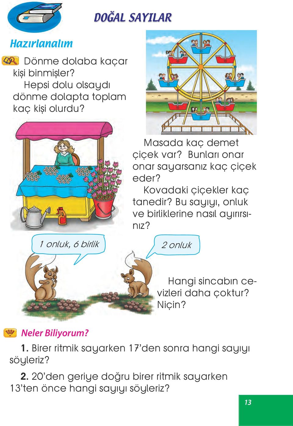 Kovadaki çiçekler kaç tanedir? Bu sayıyı, onluk ve birliklerine nasıl ayırırsınız? Hangi sincabın cevizleri daha çoktur? Niçin?