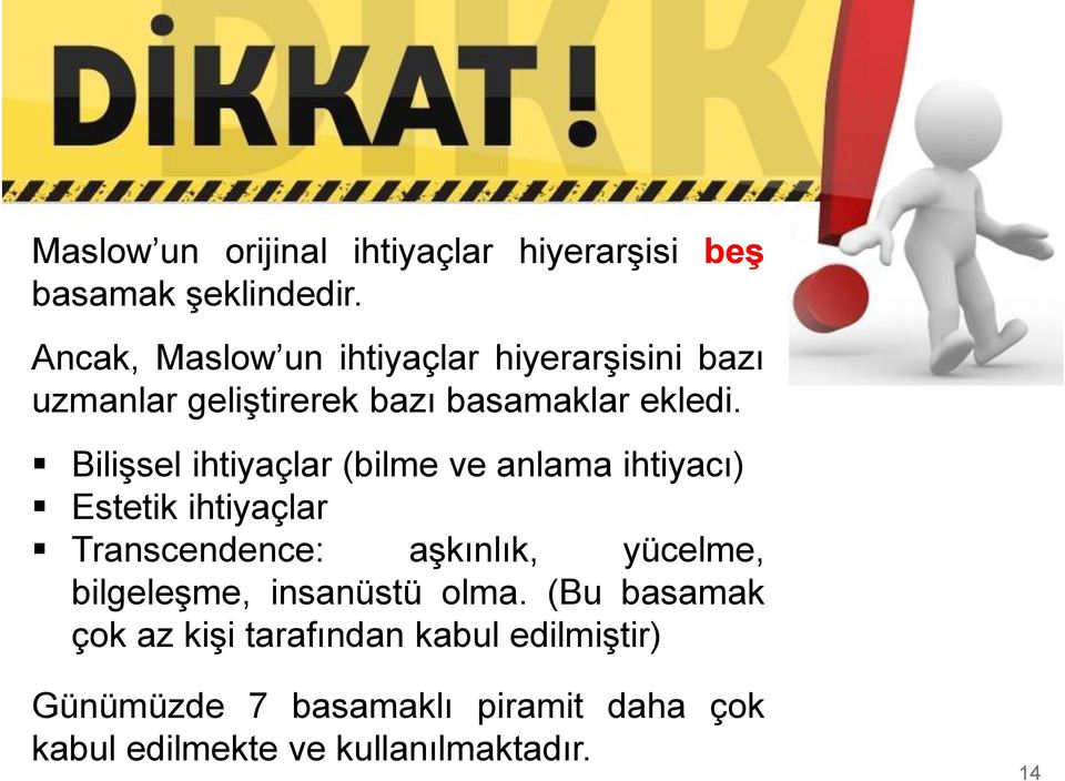 Bilişsel ihtiyaçlar (bilme ve anlama ihtiyacı) Estetik ihtiyaçlar Transcendence: aşkınlık, yücelme,