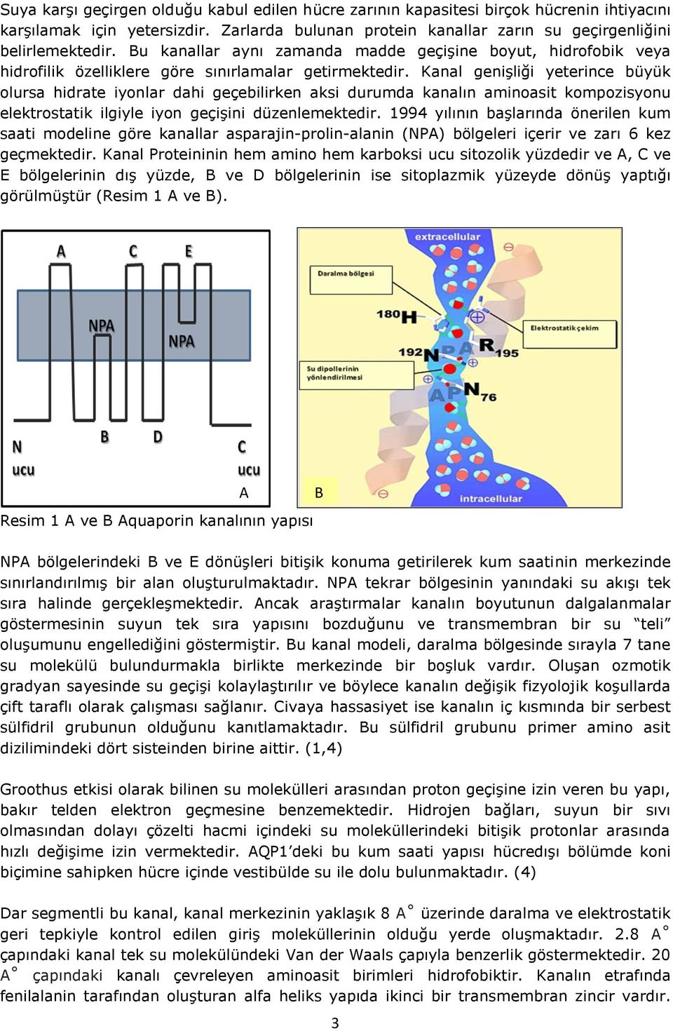 Kanal genişliği yeterince büyük olursa hidrate iyonlar dahi geçebilirken aksi durumda kanalın aminoasit kompozisyonu elektrostatik ilgiyle iyon geçişini düzenlemektedir.