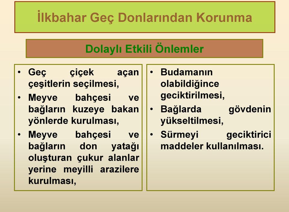 bağların don yatağı oluşturan çukur alanlar yerine meyilli arazilere kurulması, Budamanın