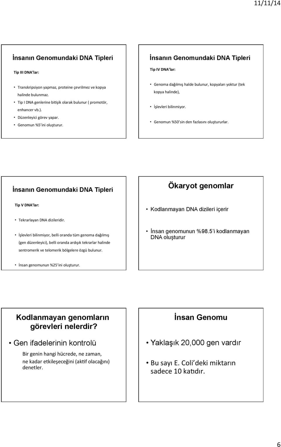 İnsanın undaki Tipleri Ökaryot genomlar Tip V lar: Kodlanmayan dizileri içerir Tekrarlayan dizileridir.