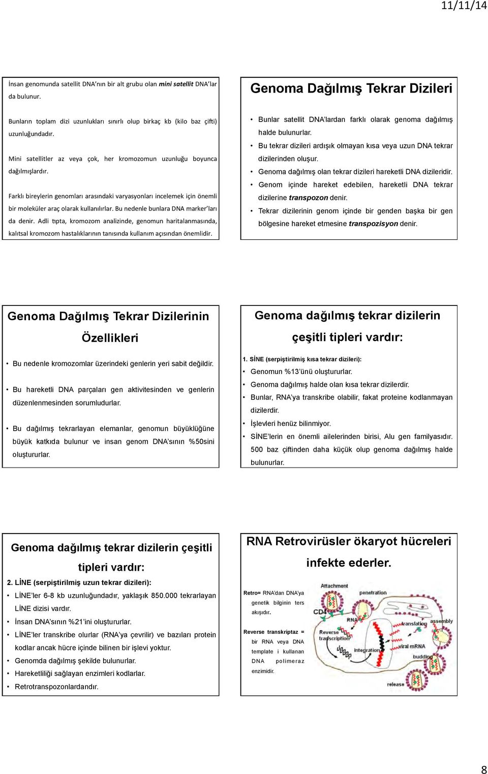 Bu nedenle bunlara marker ları da denir. Adli ^pta, kromozom analizinde, genomun haritalanmasında, kalıtsal kromozom hastalıklarının tanısında kullanım açısından önemlidir.