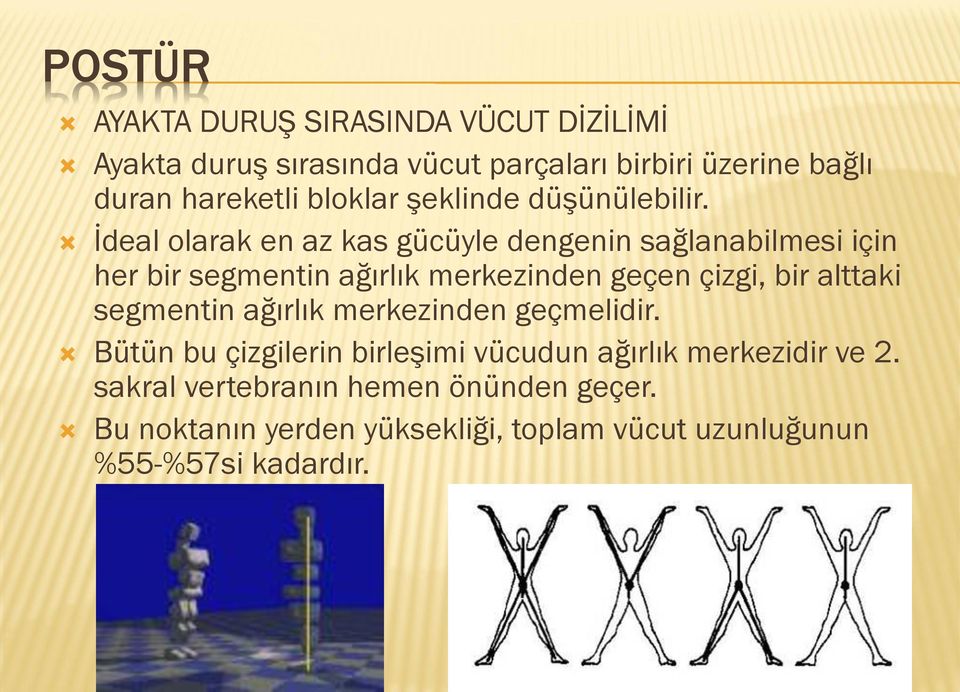 İdeal olarak en az kas gücüyle dengenin sağlanabilmesi için her bir segmentin ağırlık merkezinden geçen çizgi, bir alttaki