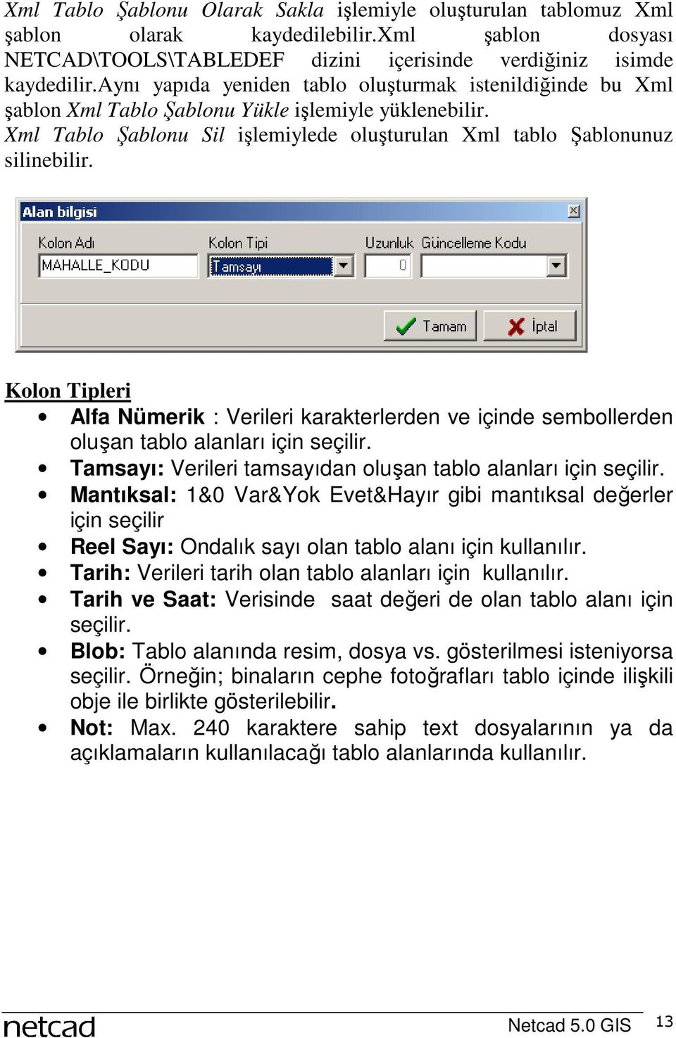 Kolon Tipleri Alfa Nümerik : Verileri karakterlerden ve içinde sembollerden oluşan tablo alanları için seçilir. Tamsayı: Verileri tamsayıdan oluşan tablo alanları için seçilir.