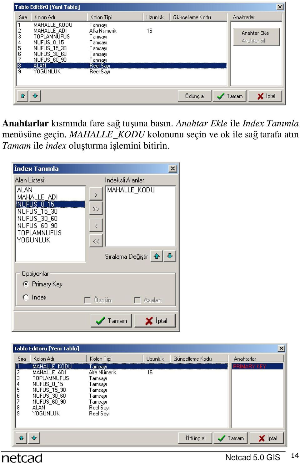 MAHALLE_KODU kolonunu seçin ve ok ile sağ tarafa