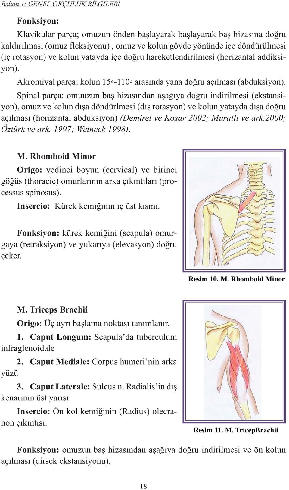 Spinal parça: omuuzun baş hizasından aşağıya doğru indirilmesi (ekstansiyon), omuz ve kolun dışa döndürlmesi (dış rotasyon) ve kolun yatayda dışa doğru açılması (horizantal abduksiyon) (Demirel ve