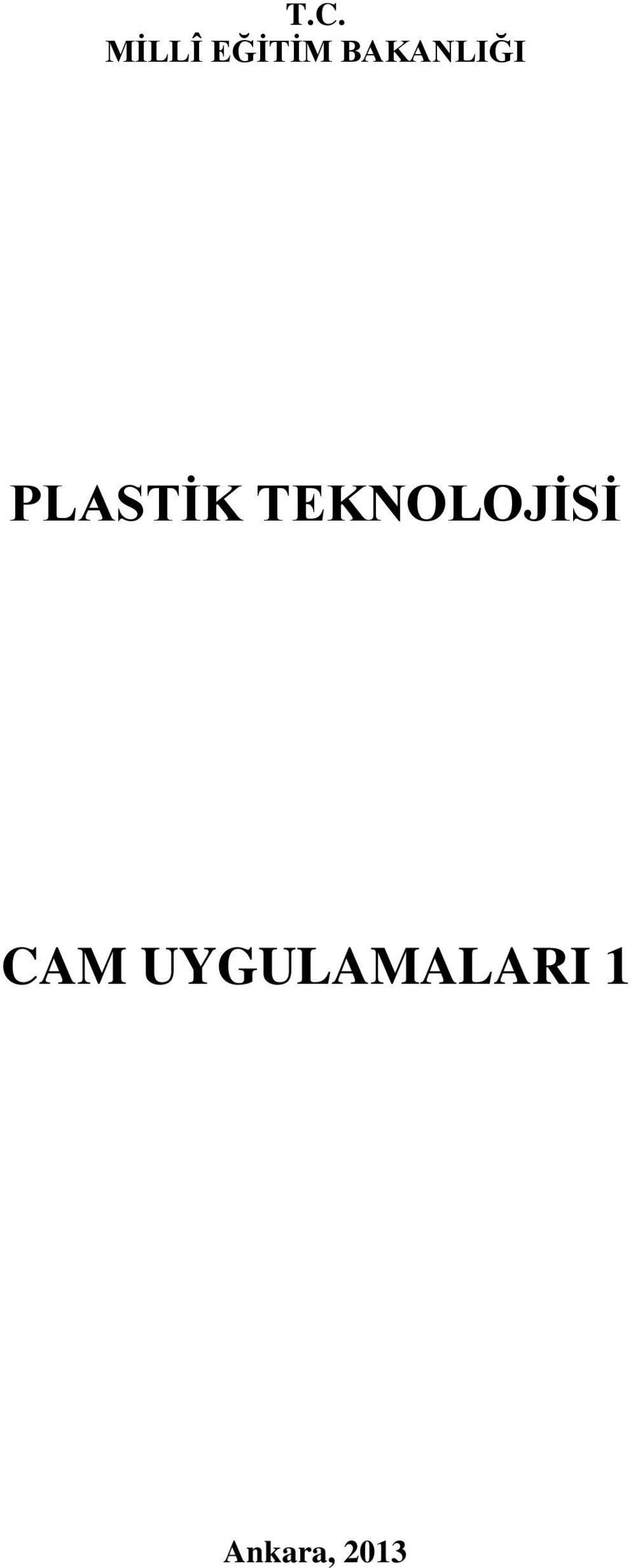 TEKNOLOJİSİ CAM