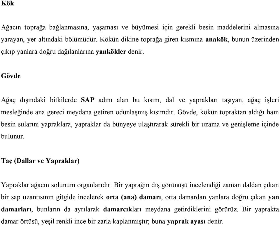 Gövde Ağaç dışındaki bitkilerde SAP adını alan bu kısım, dal ve yaprakları taşıyan, ağaç işleri mesleğinde ana gereci meydana getiren odunlaşmış kısımdır.