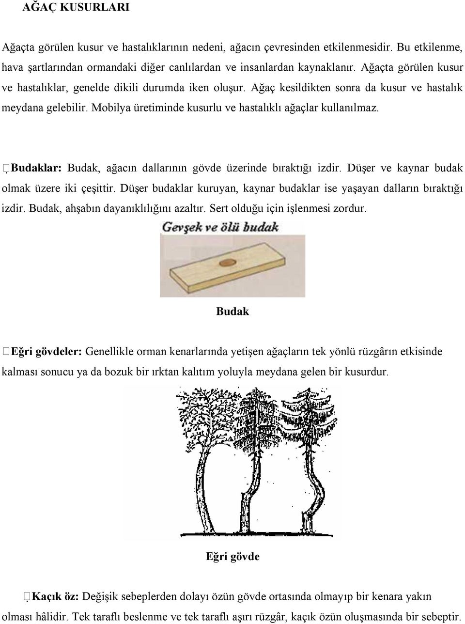 Budaklar: Budak, ağacın dallarının gövde üzerinde bıraktığı izdir. Düşer ve kaynar budak olmak üzere iki çeşittir. Düşer budaklar kuruyan, kaynar budaklar ise yaşayan dalların bıraktığı izdir.