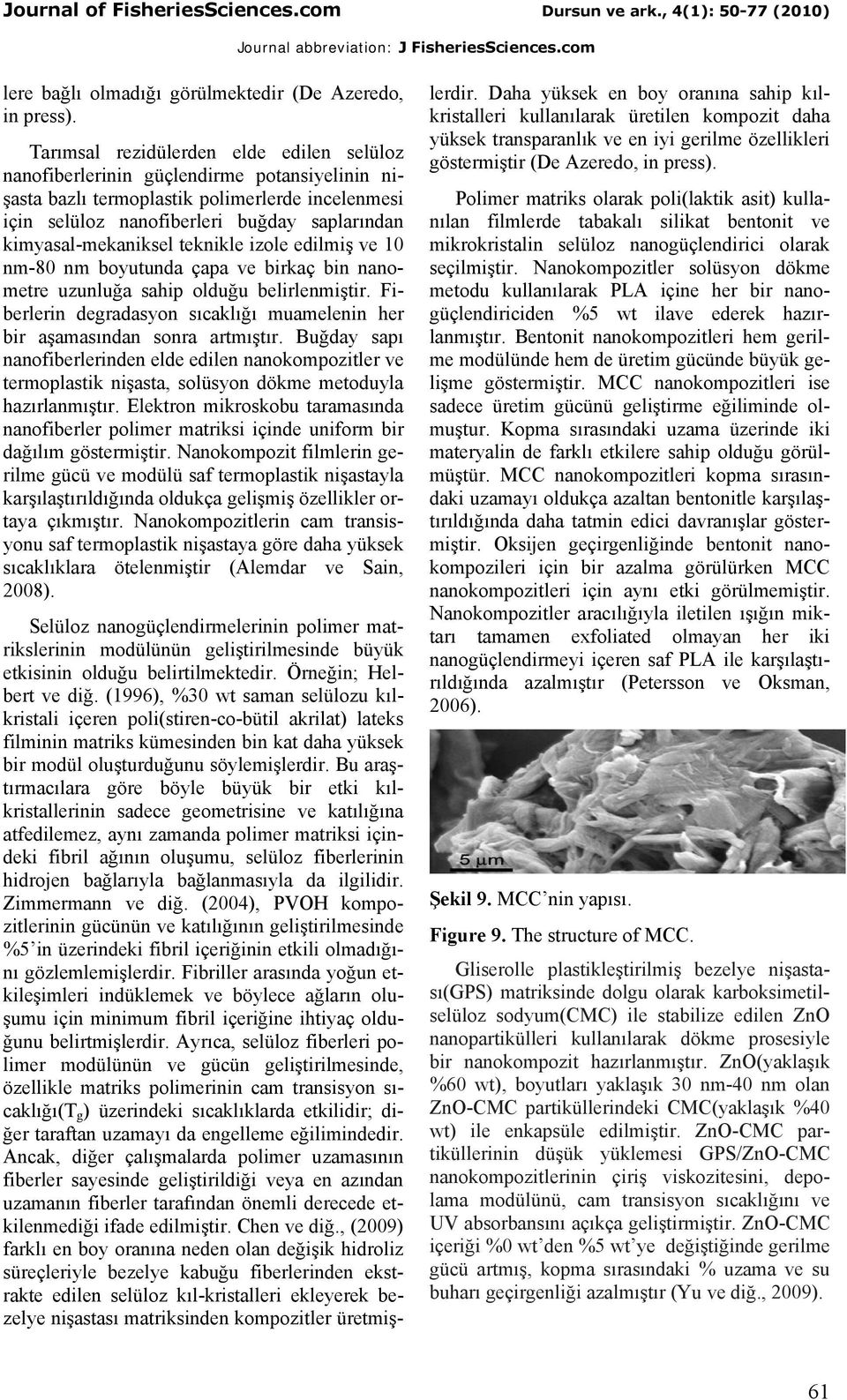 kimyasal-mekaniksel teknikle izole edilmiş ve 10 nm-80 nm boyutunda çapa ve birkaç bin nanometre uzunluğa sahip olduğu belirlenmiştir.