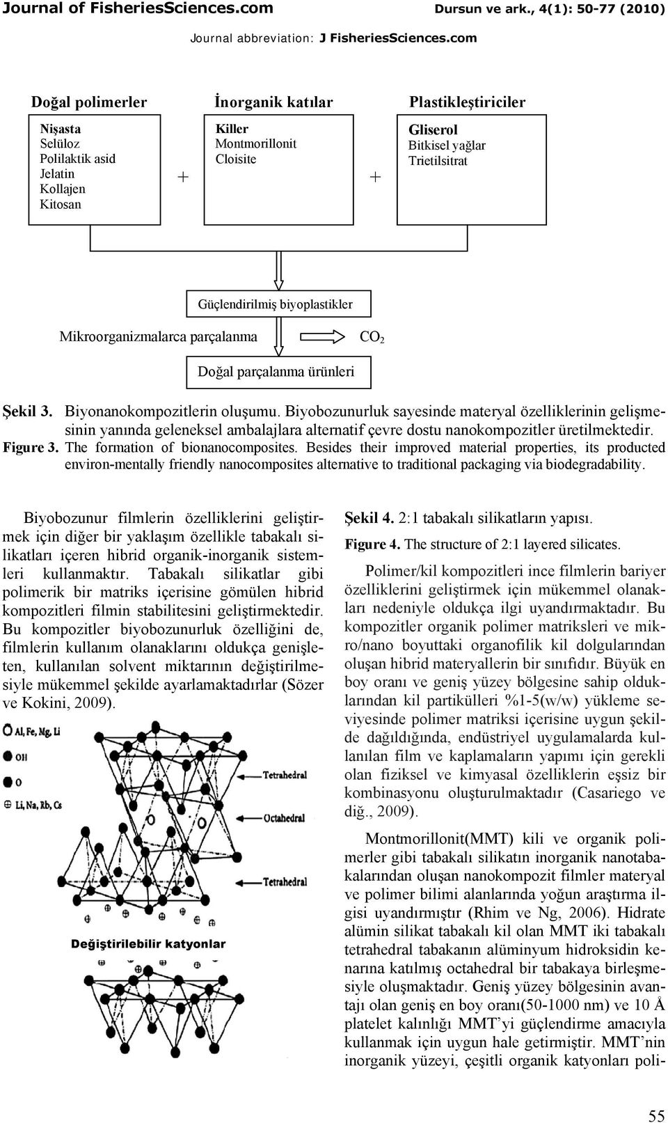 Biyobozunurluk sayesinde materyal özelliklerinin gelişmesinin yanında geleneksel ambalajlara alternatif çevre dostu nanokompozitler üretilmektedir. Figure 3. The formation of bionanocomposites.