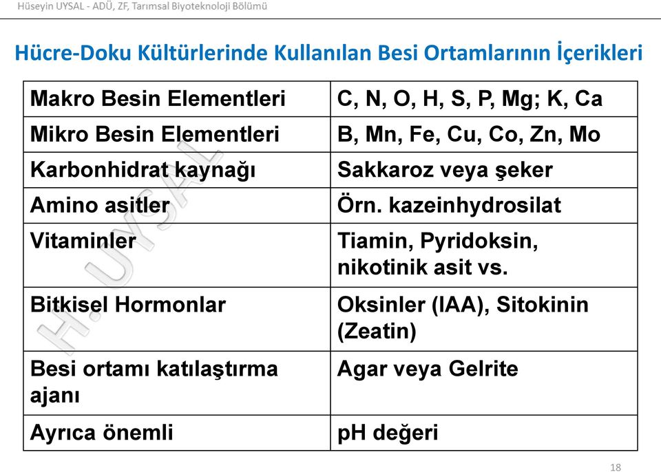 ajanı Ayrıca önemli C, N, O, H, S, P, Mg; K, Ca B, Mn, Fe, Cu, Co, Zn, Mo Sakkaroz veya şeker Örn.