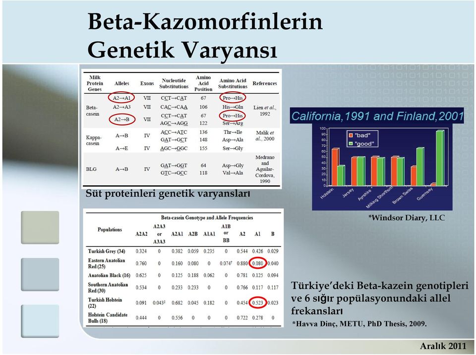 Beta-kazein genotipleri ve 6 sığır popülasyonundaki