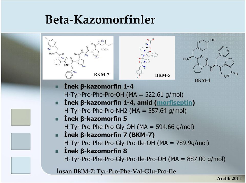 64 g/mol) İnek β-kazomorfin 5 H-Tyr-Pro-Phe-Pro-Gly-OH (MA = 594.