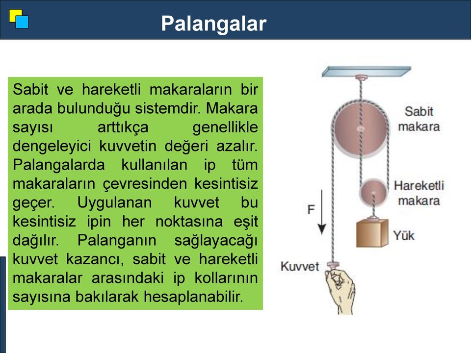 Palangalarda kullanılan ip tüm makaraların çevresinden kesintisiz geçer.